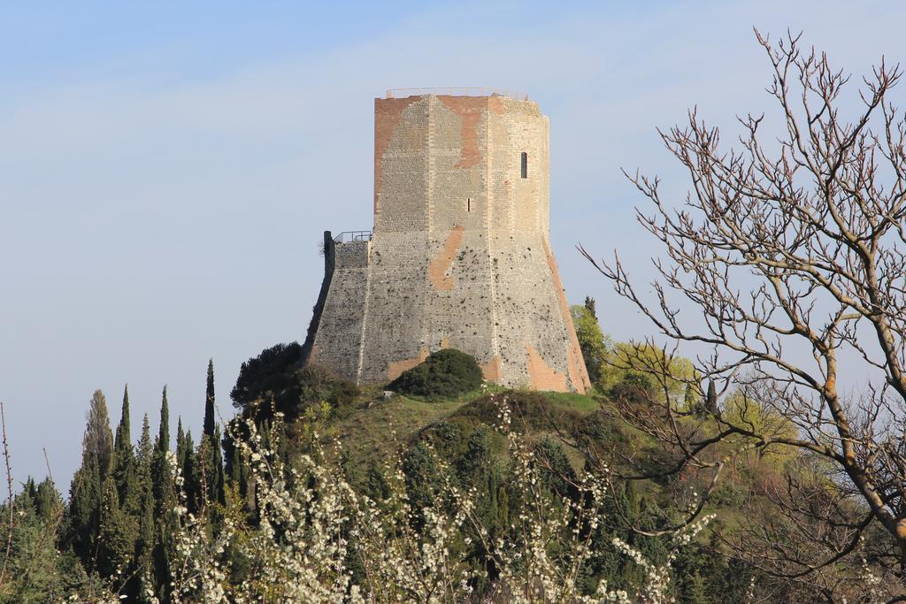 La Terrazza Sulla Val D'Orcia Leilighet Castiglione dʼOrcia Eksteriør bilde