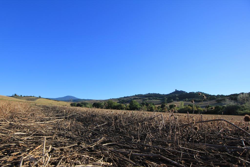 La Terrazza Sulla Val D'Orcia Leilighet Castiglione dʼOrcia Eksteriør bilde